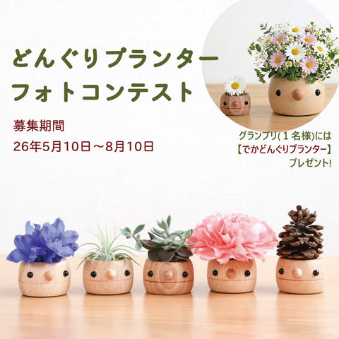 どんぐりプランター フォトコンテスト開催！
